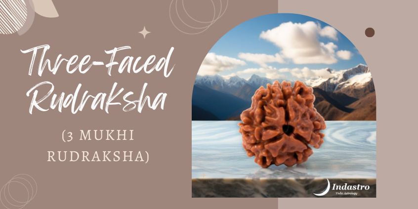 Three-Faced Rudraksha (Three Mukhi Rudraksha)